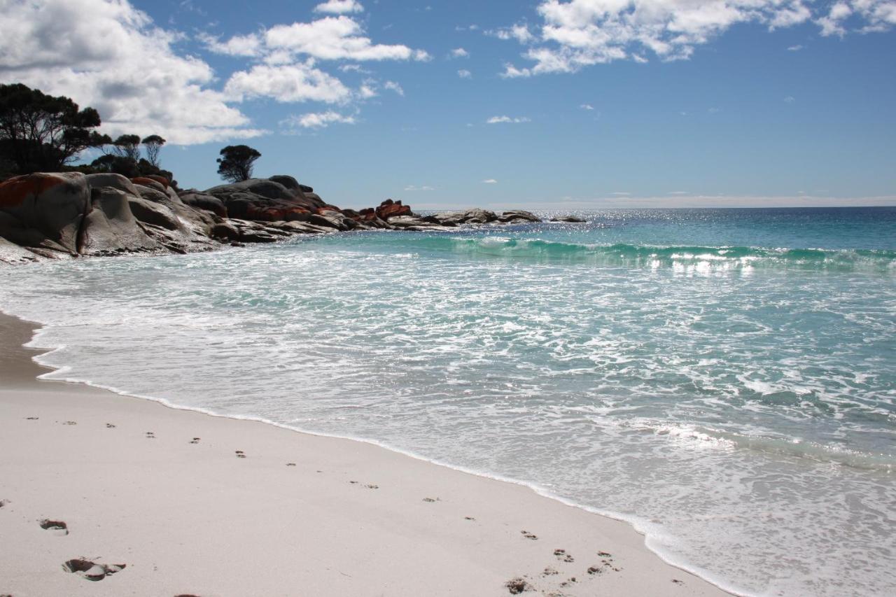 Sea Eagle Cottage Amazing Views Of Bay Of Fires Binalong Bay Exterior foto